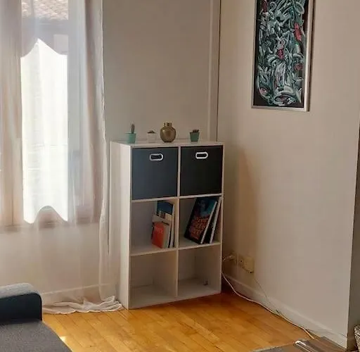 Apartamento Grand T2 Pont Des Demoiselles *