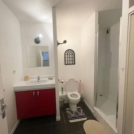 Grand T2 Pont Des Demoiselles * Toulouse