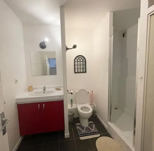 Grand T2 Pont Des Demoiselles * Toulouse