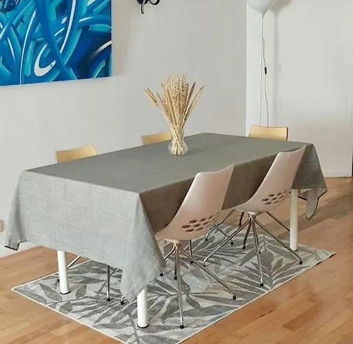 Grand T2 Pont Des Demoiselles Tolosa